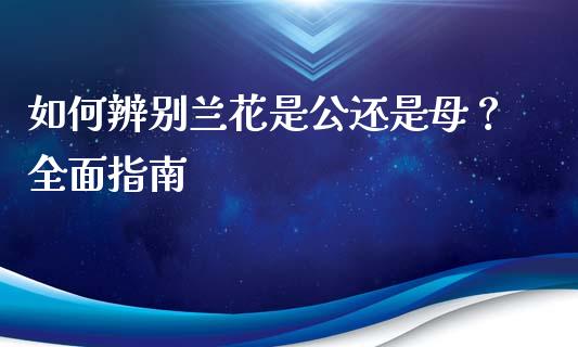 如何辨别兰花是公还是母？全面指南_https://www.qdlswl.com_股指_第1张