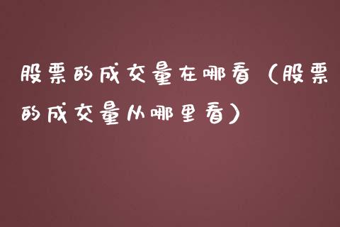 股票的成交量在哪看（股票的成交量从哪里看）_https://www.qdlswl.com_外盘_第1张