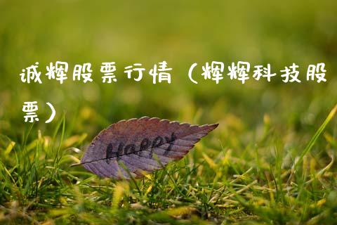 诚辉股票行情（辉辉科技股票）_https://www.qdlswl.com_外盘_第1张