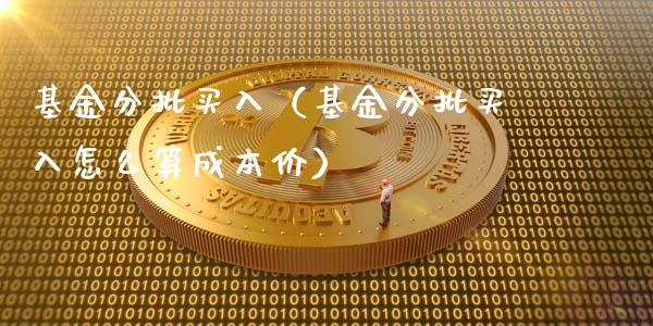 基金分批买入（基金分批买入怎么算成本价）_https://www.qdlswl.com_理财_第1张