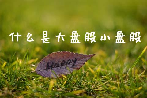 什么是大盘股小盘股_https://www.qdlswl.com_外盘_第1张