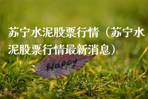 苏宁水泥股票行情（苏宁水泥股票行情最新消息）_https://www.qdlswl.com_内盘_第1张