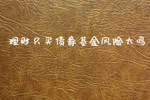 理财只买债券基金风险大吗_https://www.qdlswl.com_理财_第1张