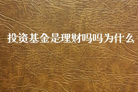 投资基金是理财吗吗为什么_https://www.qdlswl.com_理财_第1张