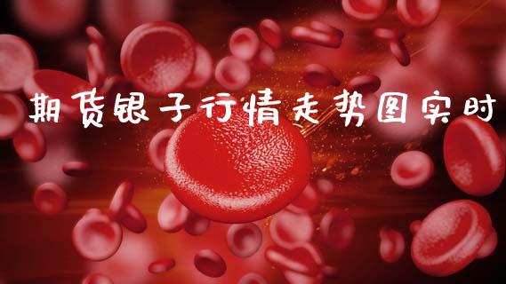 期货银子行情走势图实时_https://www.qdlswl.com_股指_第1张
