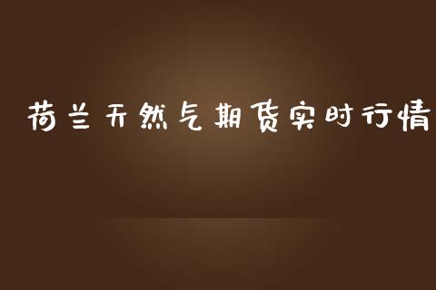 荷兰天然气期货实时行情_https://www.qdlswl.com_直播_第1张