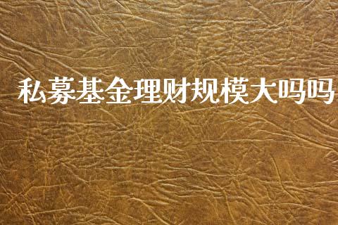 私募基金理财规模大吗吗_https://www.qdlswl.com_理财_第1张