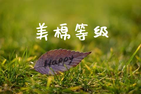 美棉等级_https://www.qdlswl.com_股指_第1张