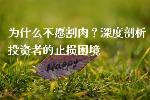 为什么不愿割肉？深度剖析投资者的止损困境_https://www.qdlswl.com_直播_第1张