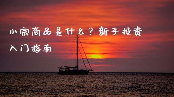 小宗商品是什么？新手投资入门指南_https://www.qdlswl.com_股票_第1张